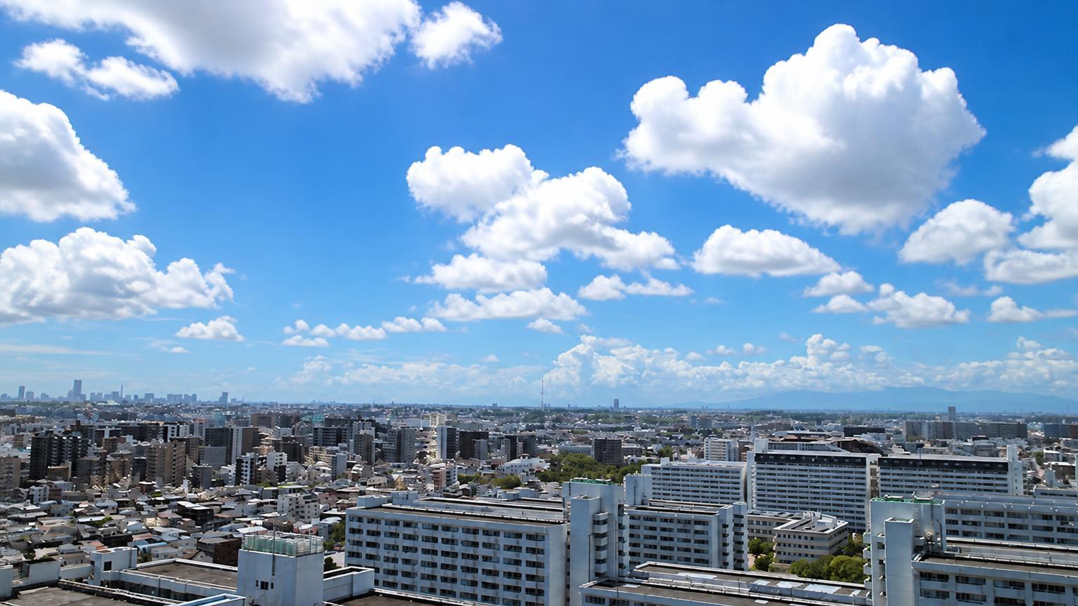 Top-Floor Tower Residence in Kawasaki — photograph 3