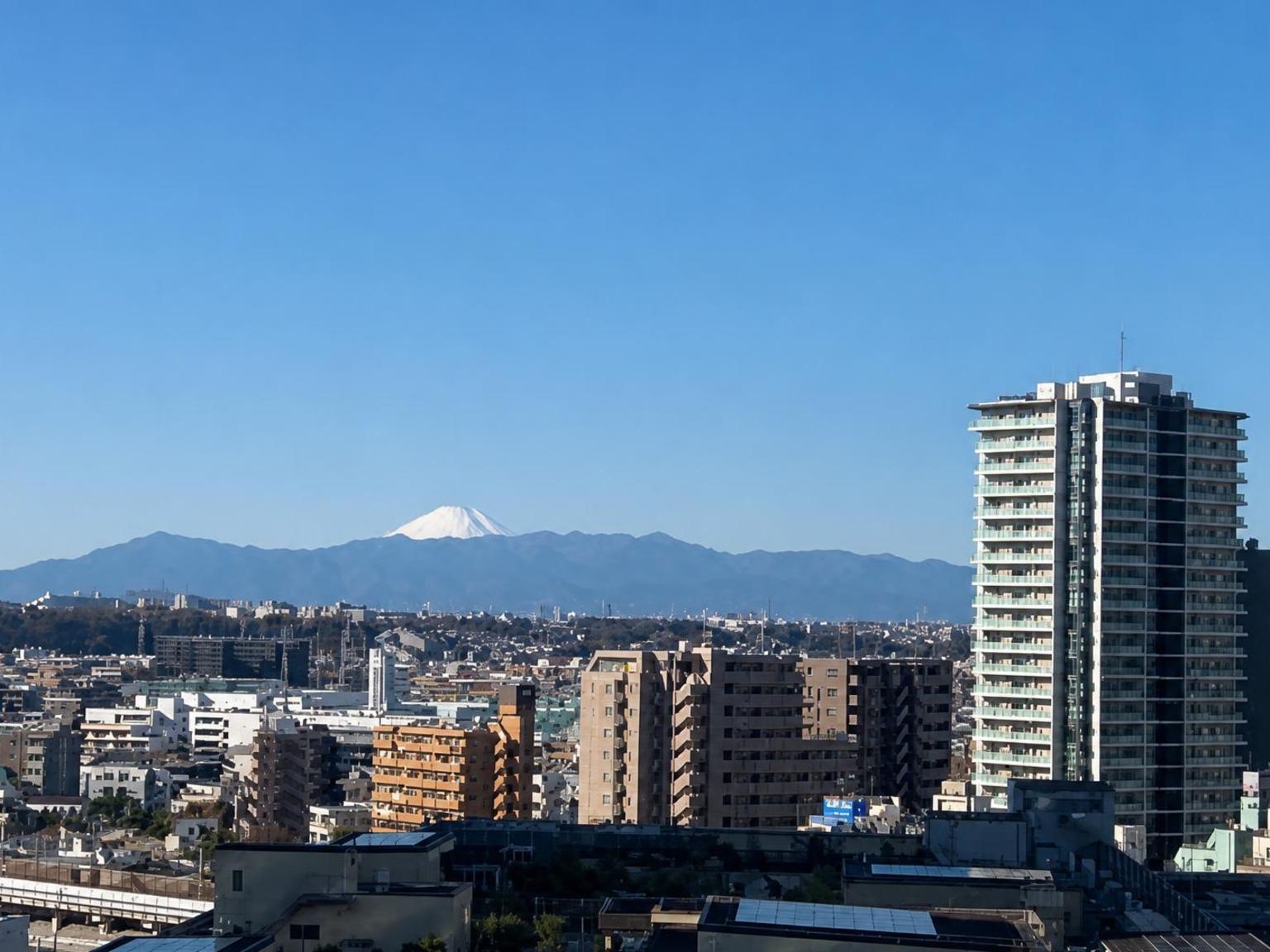 Station-Side Condominium in Kawasaki — photograph 4