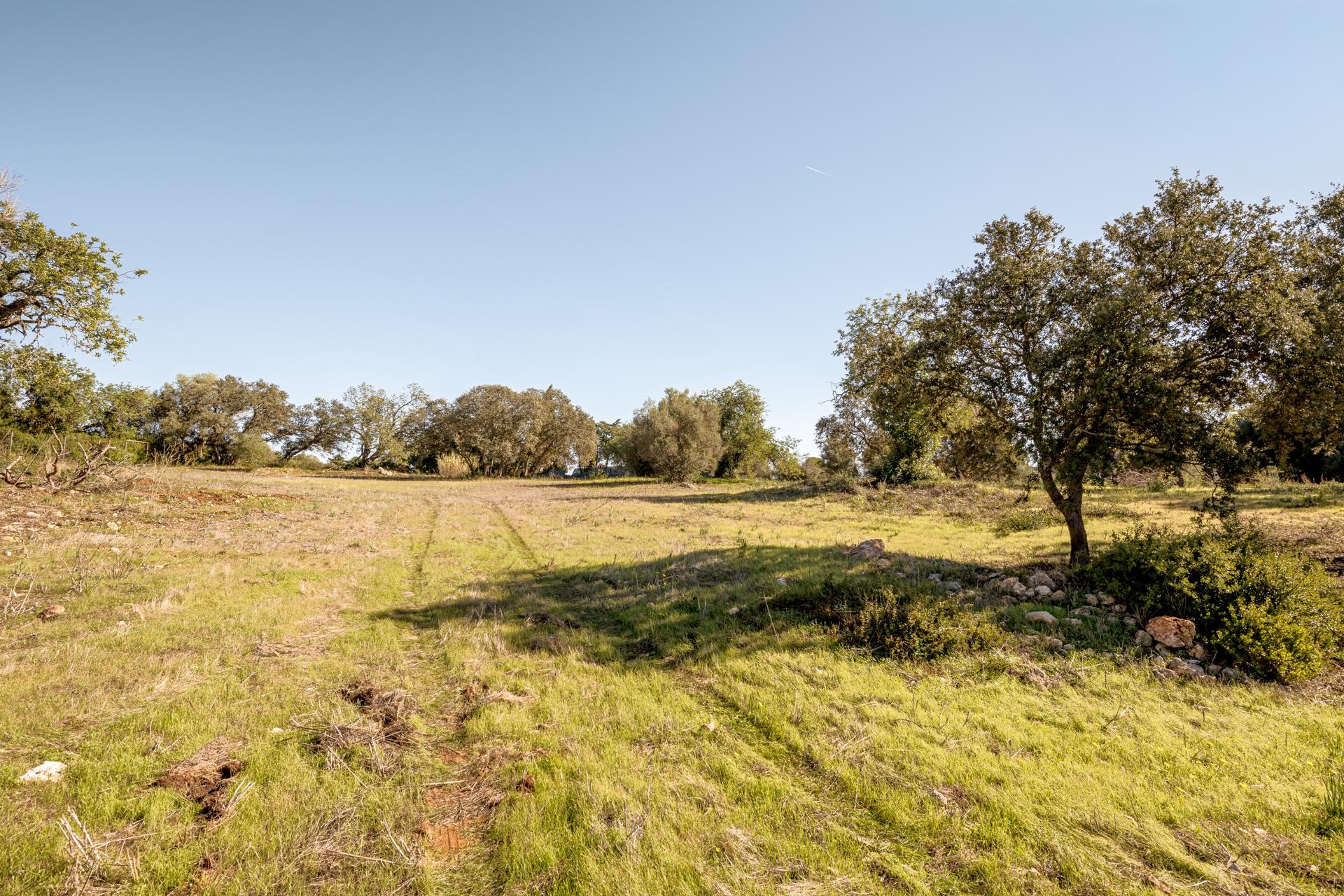 Land in Silves — photograph 3
