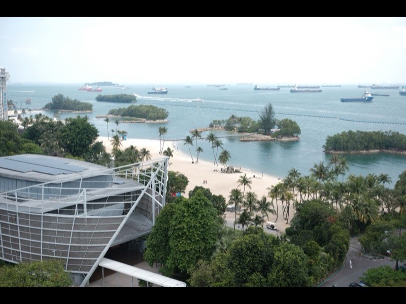 East Coast / Katong
